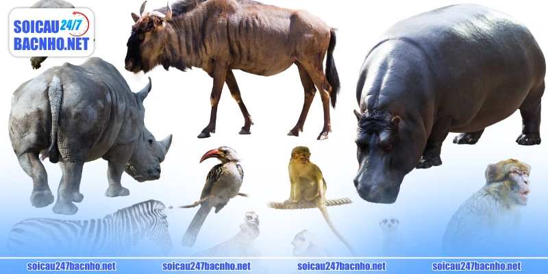 Cách đánh đề theo con vật ứng với các giáp trong năm