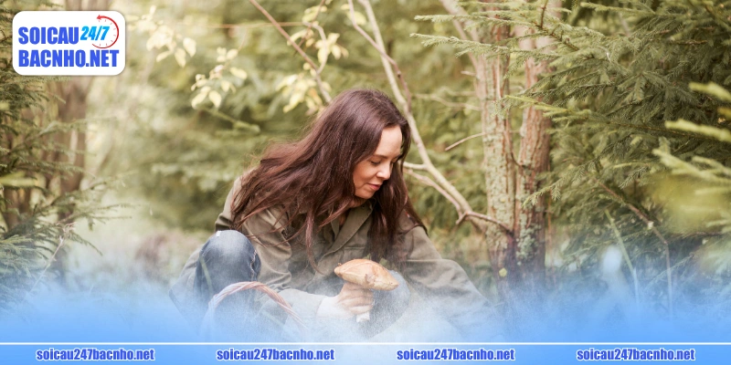 Giấc mơ hái nấm đa phần là điềm báo việc tốt lành