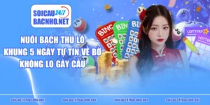 Nuôi Bạch Thủ Lô Khung 5 Ngày Tự Tin Về Bờ Không Lo Gãy Cầu