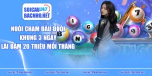 Nuôi Chạm Đầu Đuôi Khung 3 Ngày Lãi Đậm 20 Triệu Mỗi Tháng