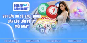 Soi Cầu Xổ Số Bao Trúng, Săn Lộc Lớn Về Tay Mỗi Ngày