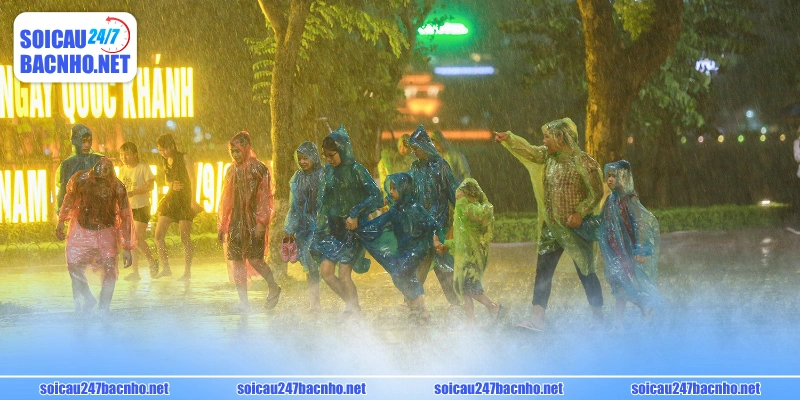 Tra cứu mơ thấy dầm mưa đánh số gì ăn lãi đậm